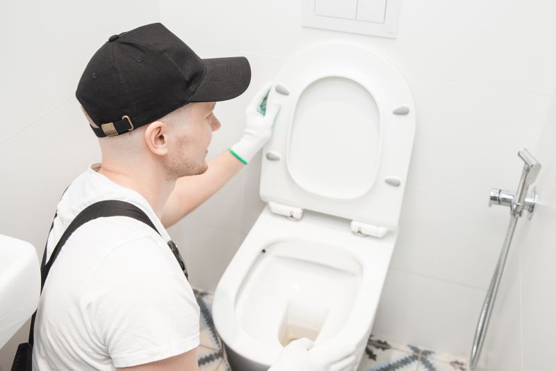 Leaking Toilet Repair in Denver, CO